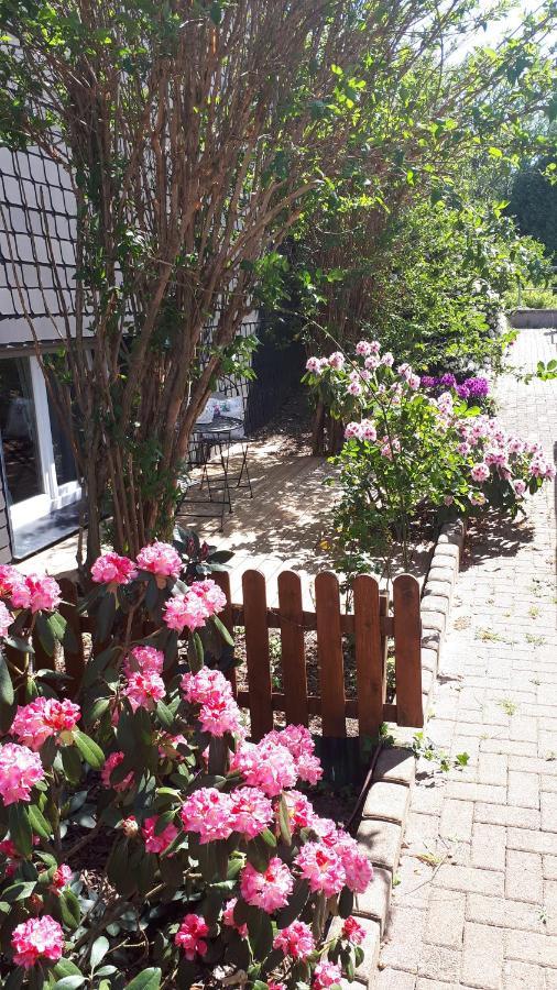 Ferienwohnung 43Qm Torf 10 Naehe Moehnesee Warstein Zewnętrze zdjęcie